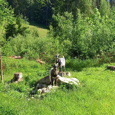 Wieser Rum i privatbostad