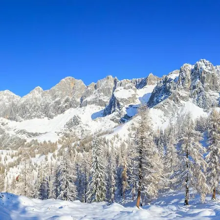 Wieser Ramsau am Dachstein