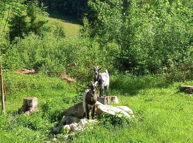 Wieser Séjour chez l'habitant