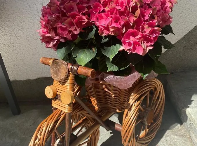 Séjour chez l'habitant Wieser *